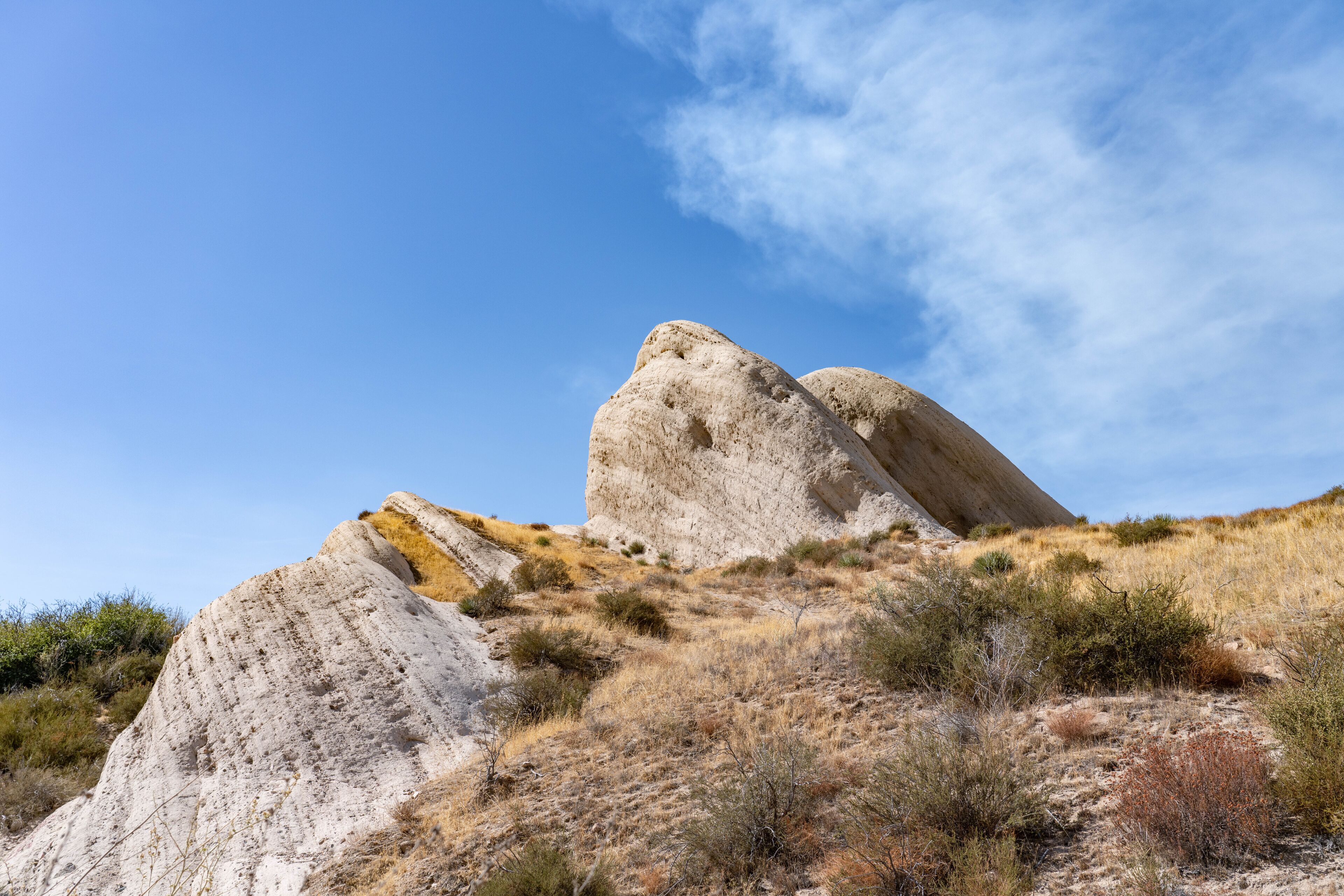 Cajon Valley Formation, Unit 2. Conglomerate and conglomeratic sandstone. Mormon Rocks, Phelan, San Bernardino County, California geology. Cajon Pass.  hogback or hog's back.  San Andreas Fault