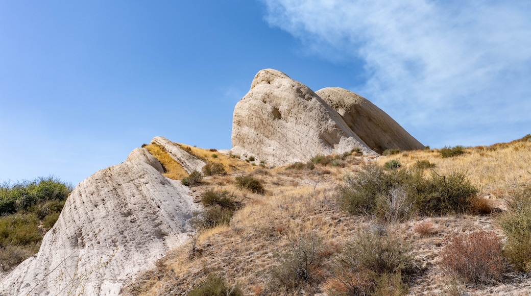 Cajon Valley Formation, Unit 2. Conglomerate and conglomeratic sandstone. Mormon Rocks, Phelan, San Bernardino County, California geology. Cajon Pass. hogback or hog's back. San Andreas Fault