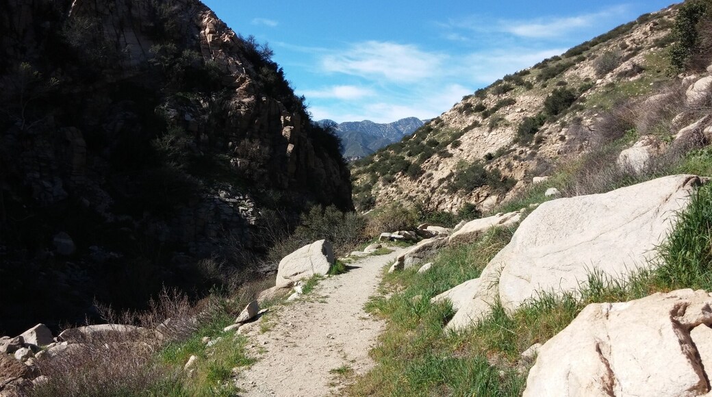 Part of the pacific creast trail in southern california. In the spring the creek has water.