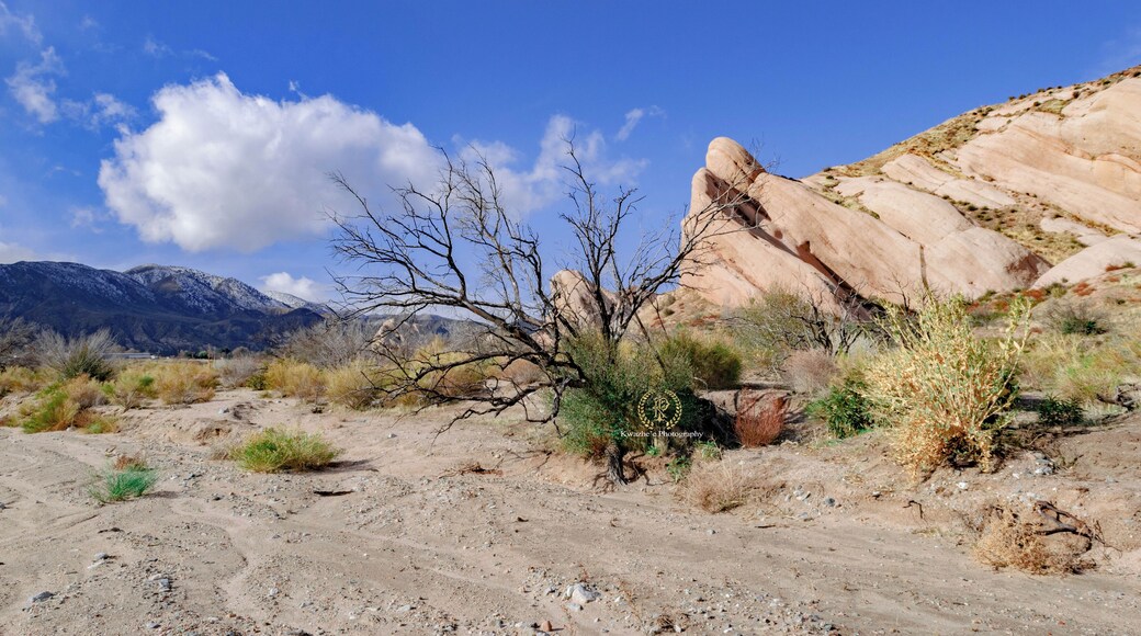 20192512 - love place as perfect.