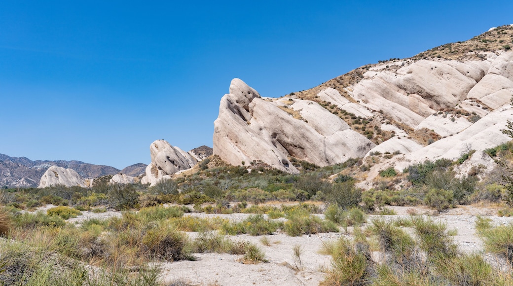 Cajon Valley Formation, Unit 2. Conglomerate and conglomeratic sandstone. Mormon Rocks, Phelan, San Bernardino County, California geology. Cajon Pass. hogback or hog's back. San Andreas Fault.