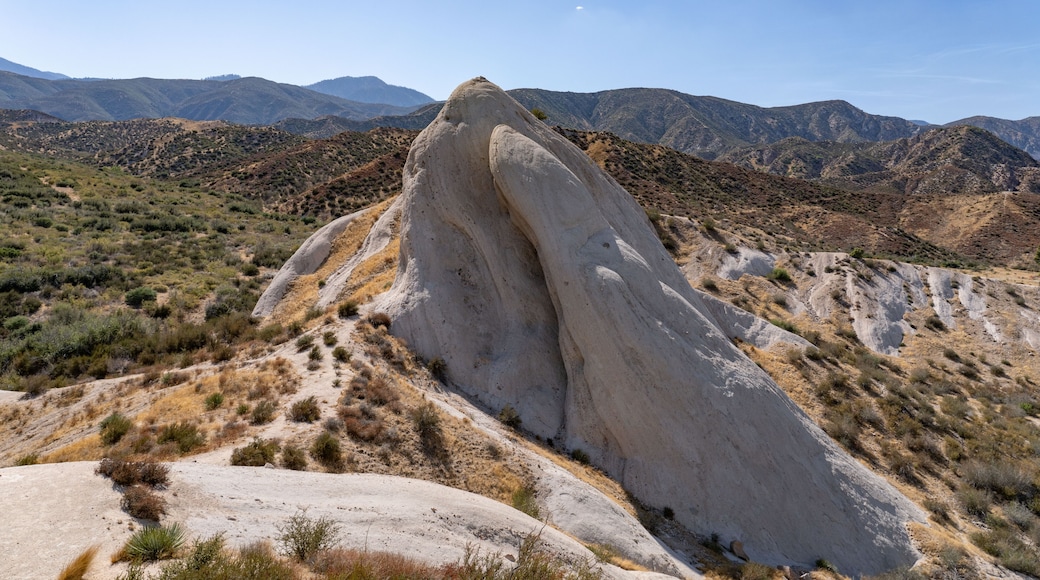 Cajon Valley Formation, Unit 2. Conglomerate and conglomeratic sandstone. Mormon Rocks, Phelan, San Bernardino County, California geology. Cajon Pass. hogback or hog's back. San Andreas Fault