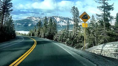 The drive into Lake Tahoe. #adventure photo contest