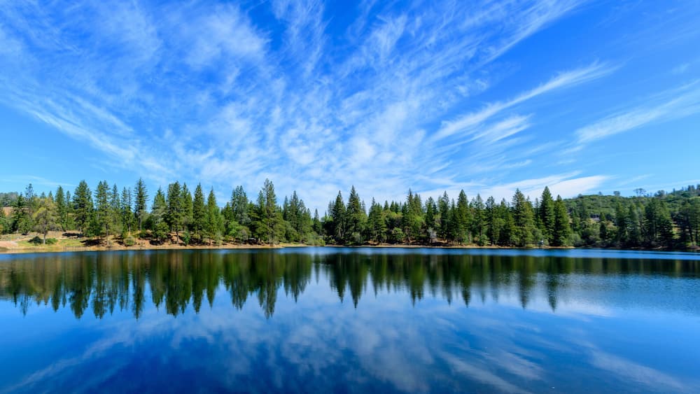 A calm lake reflecting trees and sky, surrounded by a forest.