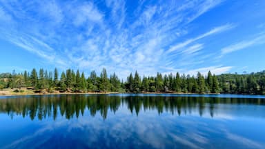 Um lago tranquilo refletindo árvores e céu, rodeado por uma floresta.