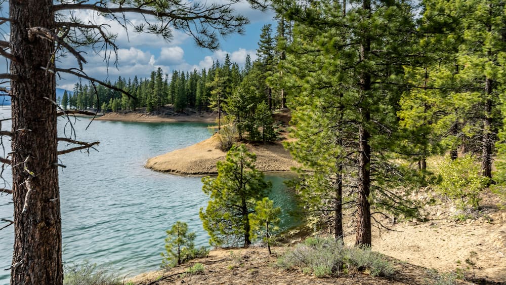 Lake Davis is located 7 miles north of Portola, California.