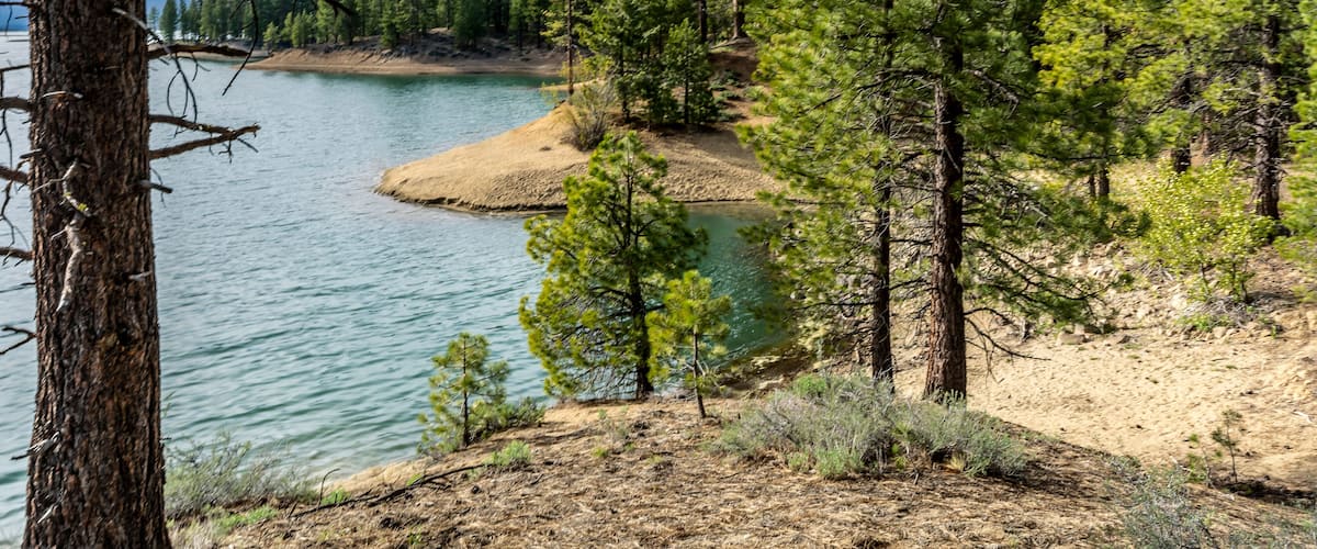 Lake Davis is located 7 miles north of Portola, California.