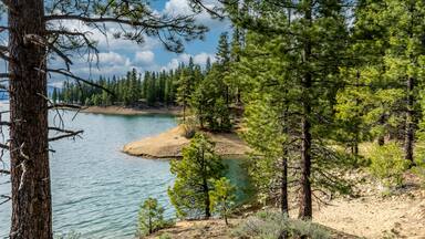 A lake surrounded by dense pine trees and a sandy shoreline.