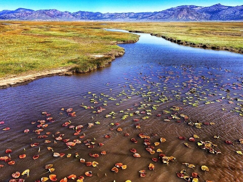Photo off the Steel Bridge.