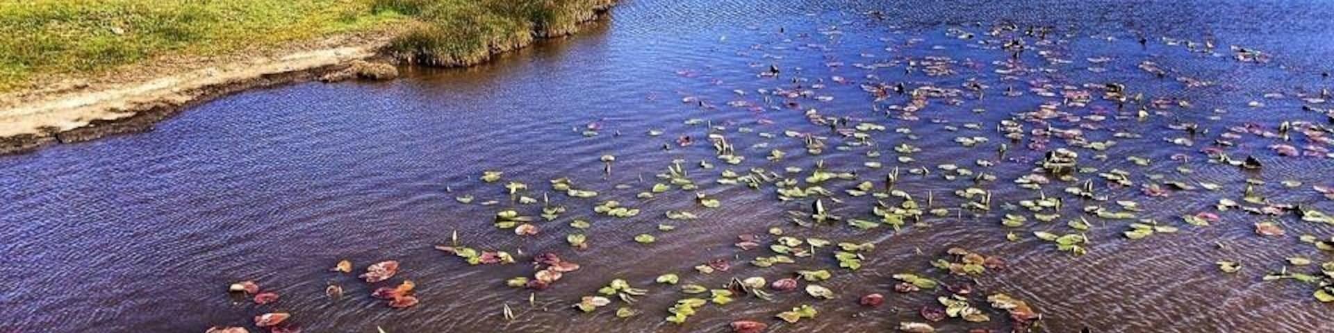 Photo off the Steel Bridge.