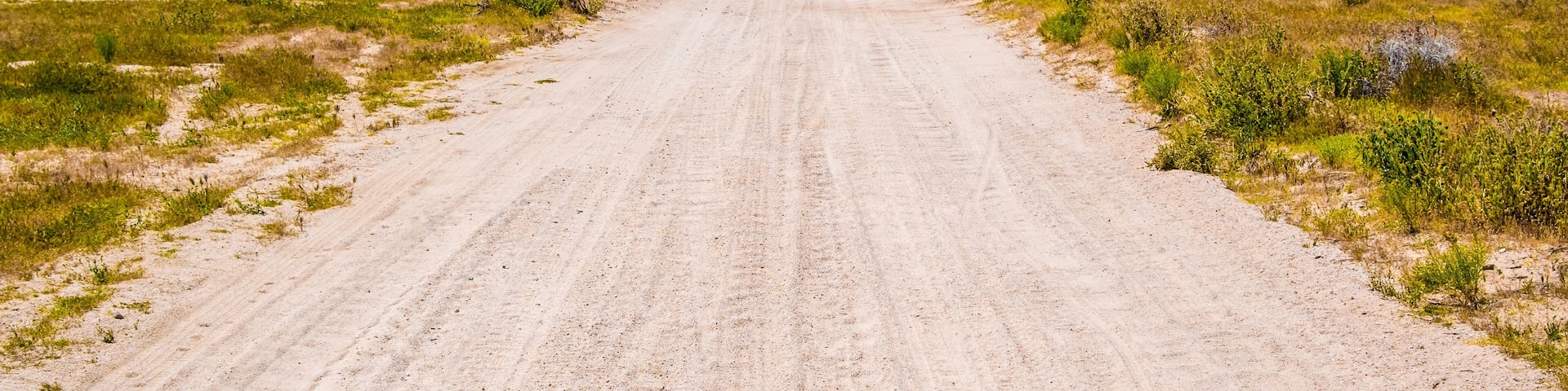 Dirt Road in the Mojave Desert