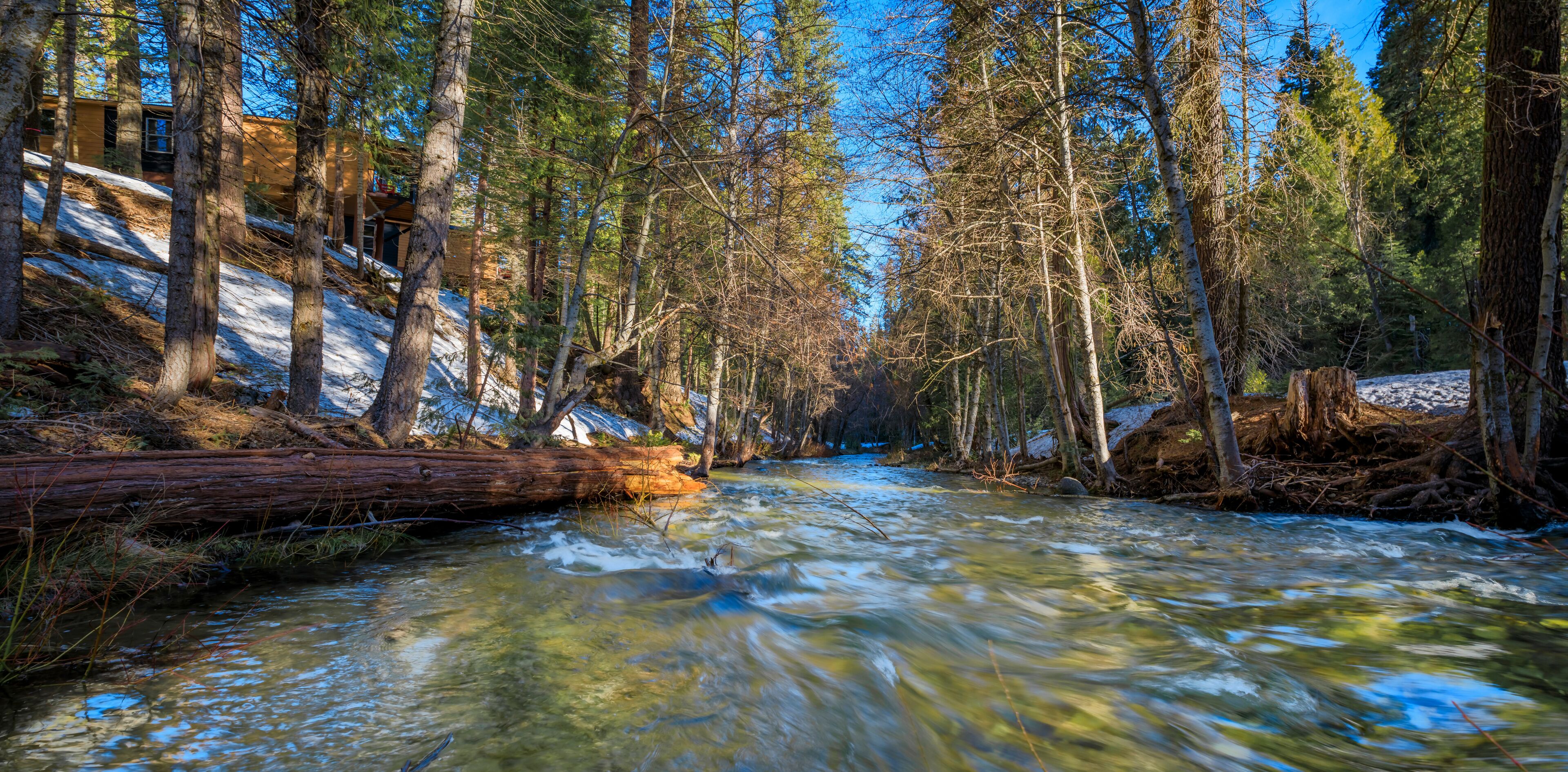 Water running in a creek in Yosemite National Park, Sierra Nevada in California