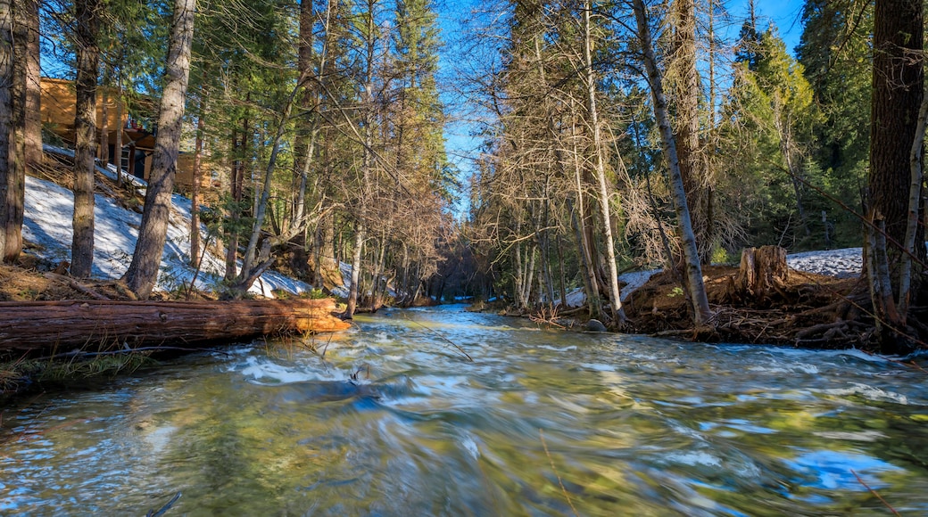 Water running in a creek in Yosemite National Park, Sierra Nevada in California