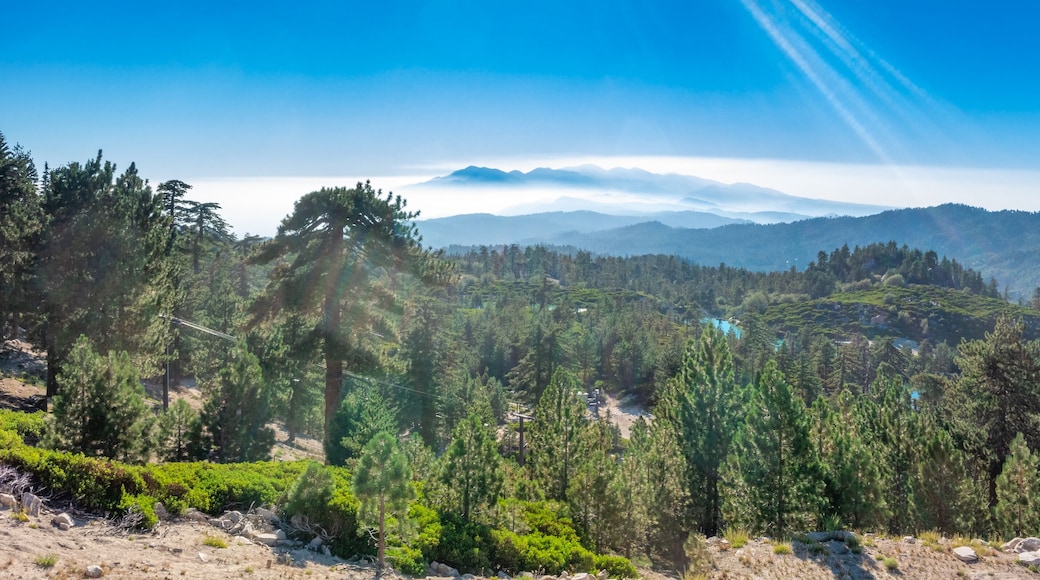 Wide panoramic of the San Bernardino mountains from the top of a local ski resort during the summer, near Running Springs, California with lens flare