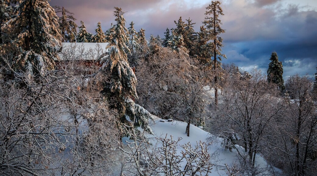 Winter Mountain Cabin Sunset, Running Springs, California; Shutterstock ID 596037125