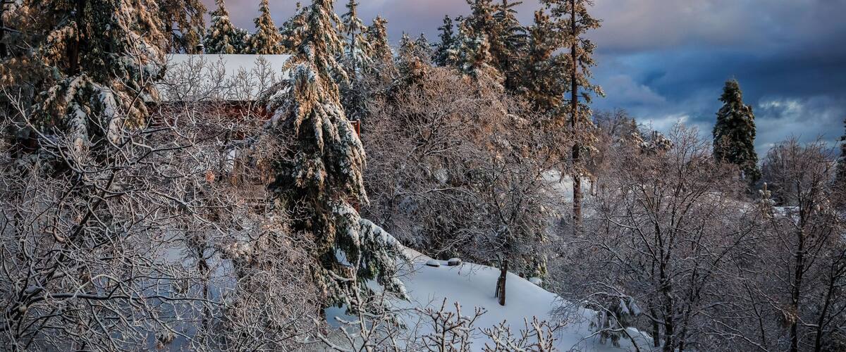 Winter Mountain Cabin Sunset, Running Springs, California; Shutterstock ID 596037125