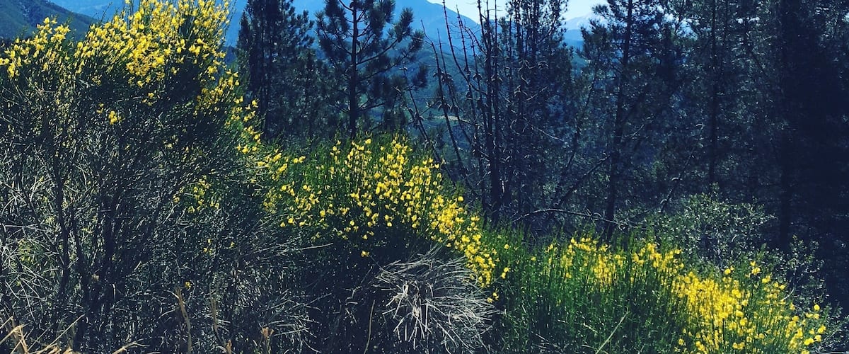 When I #takeahike I want a view, fresh air and sunshine. On my way to Big Bear I came across this gorgeous spot. It didn't disappoint!