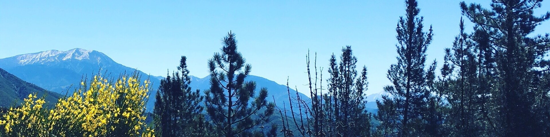 When I #takeahike I want a view, fresh air and sunshine. On my way to Big Bear I came across this gorgeous spot. It didn't disappoint!