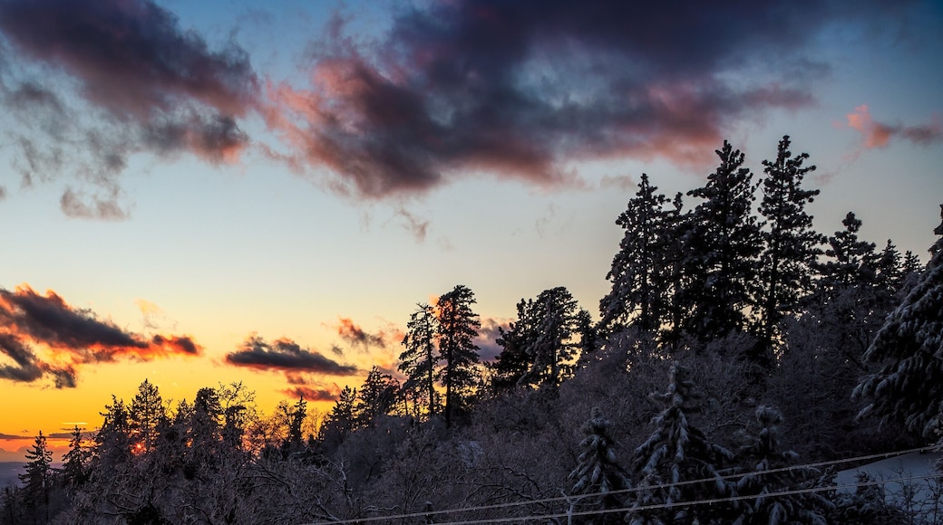 Winter Sunset in the Mountains, Running Springs, California