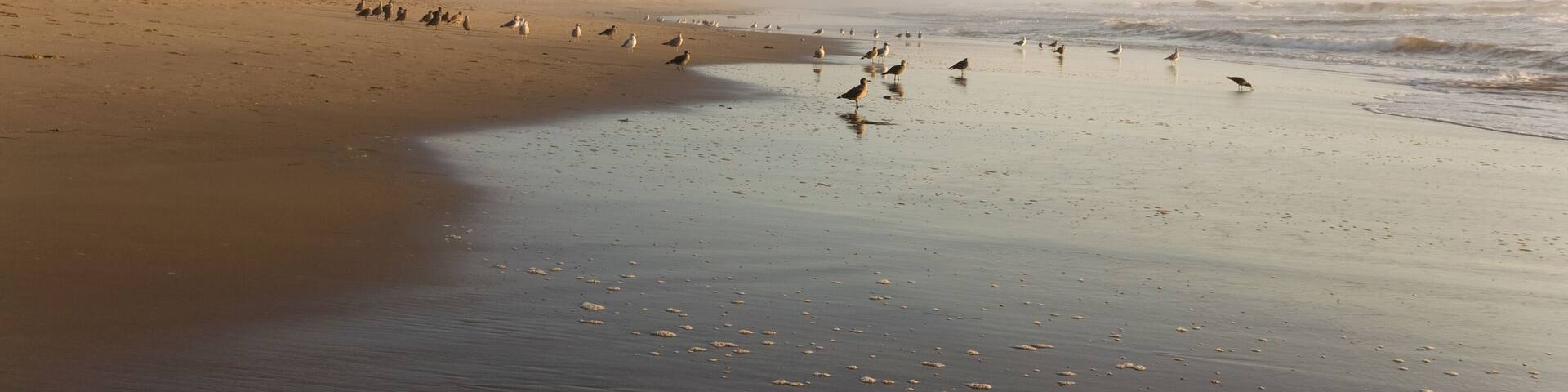 A beach with cliffs and waves.