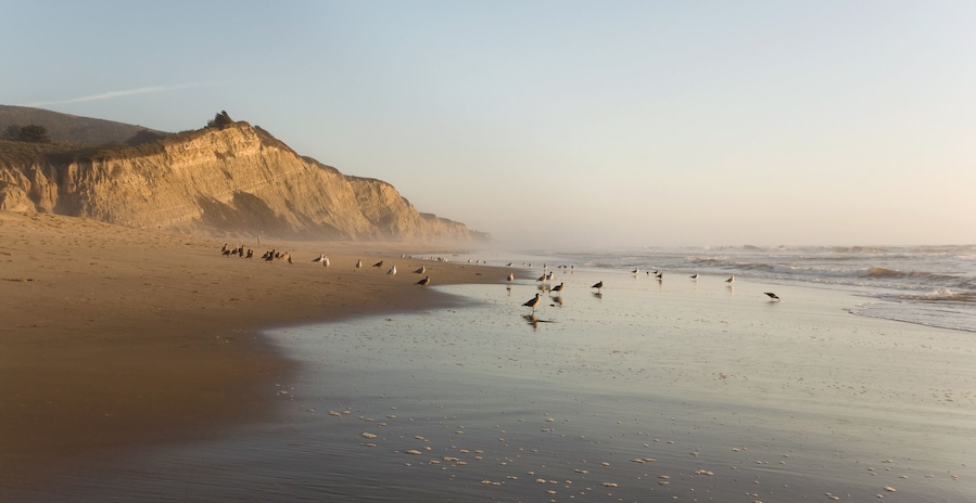 Une plage avec des falaises et des vagues.