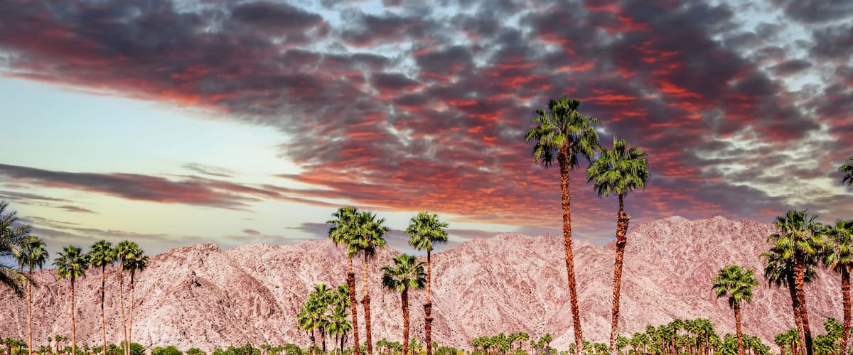 A desert landscape with palm trees and mountains under a dramatic red sky.