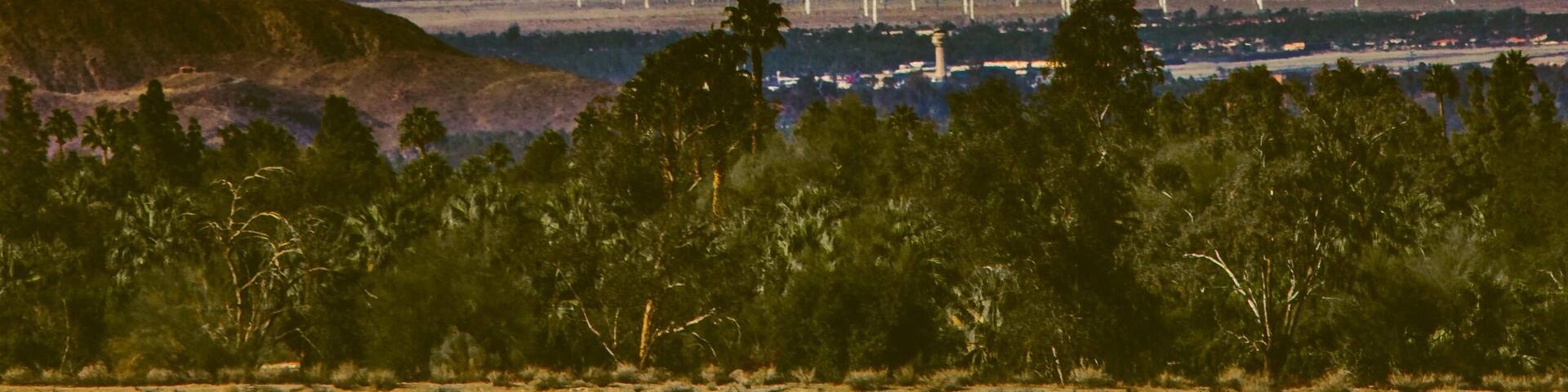 Snow Covered Mount San Jacinto