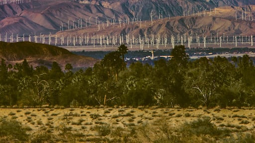 Snow Covered Mount San Jacinto