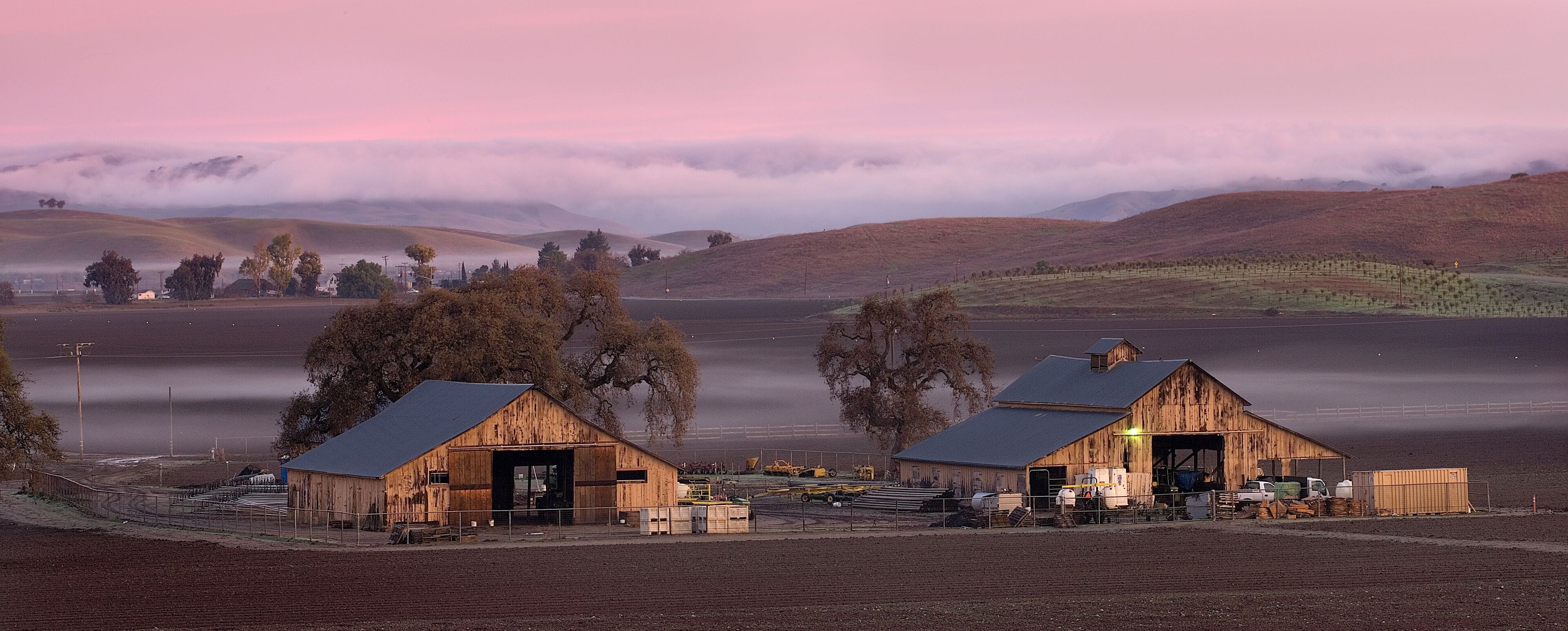 Farm at dawn, San Juan Bautista, California, USA