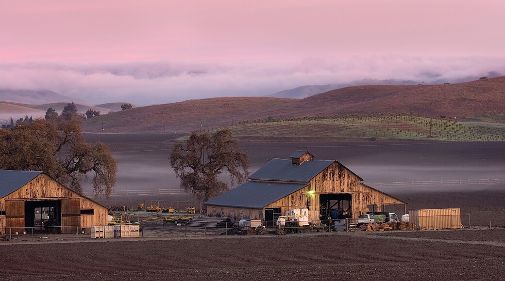 Farm at dawn, San Juan Bautista, California, USA
