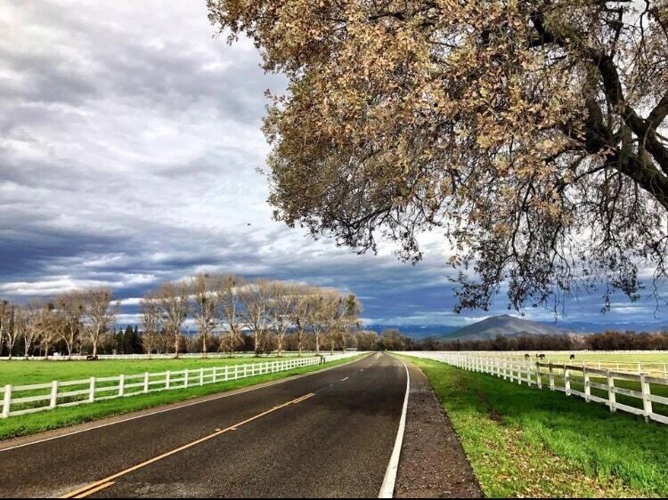 A backroad off of I-180 near Minkler, CA. 

#Green 