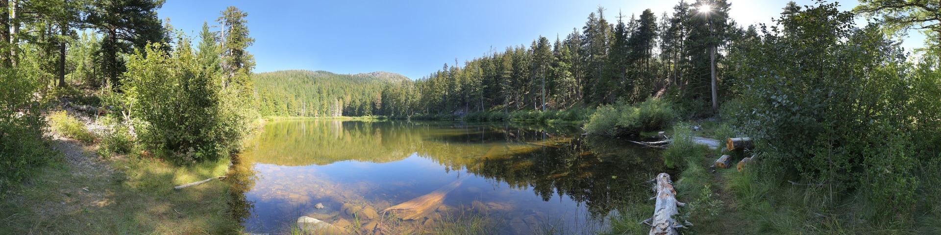 A calm lake surrounded by dense forest and a fallen tree trunk.
