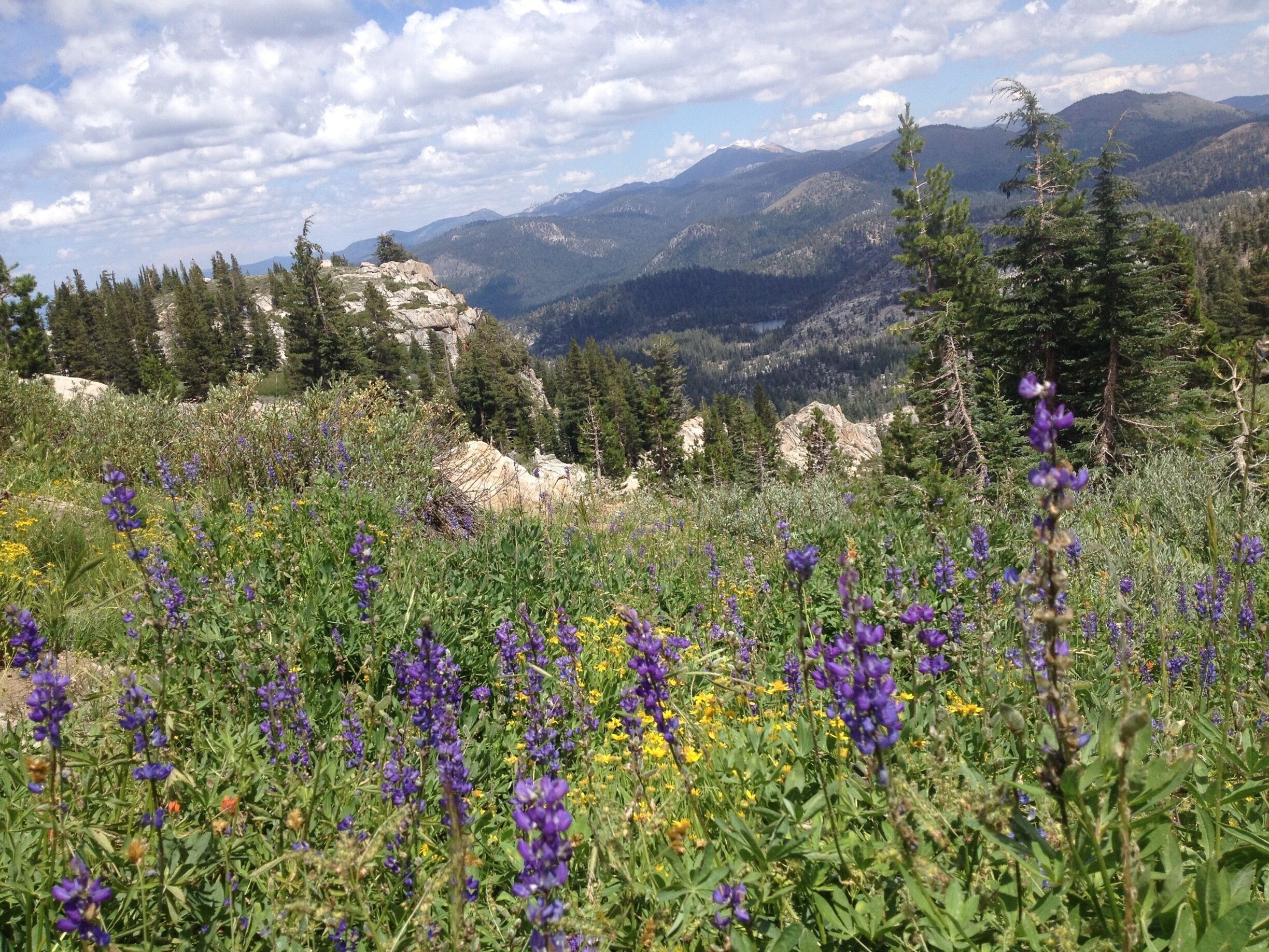 Hiking Echo pass section of PCT