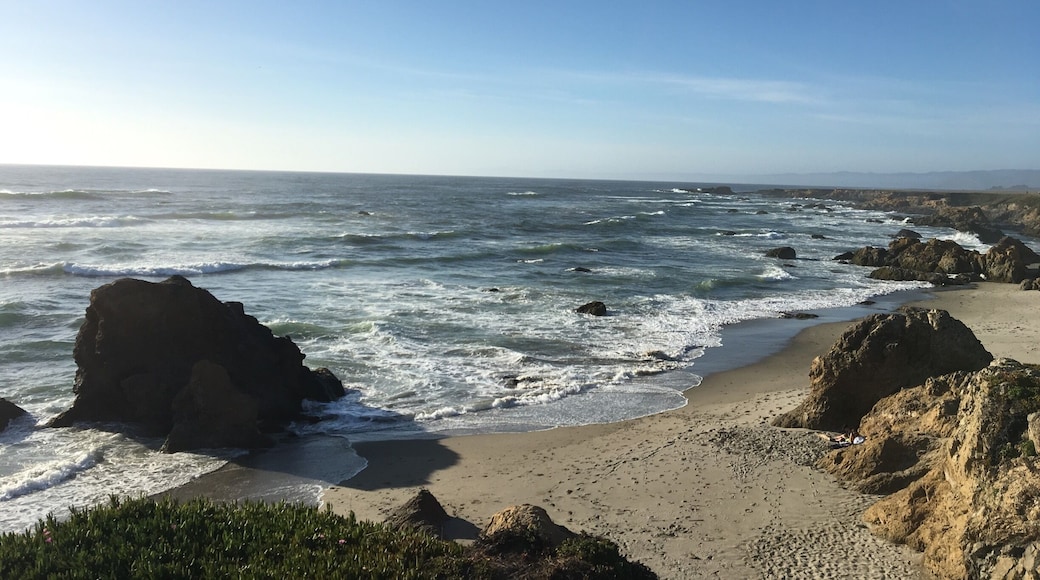 Brrrrrr that water #mendocinocoast #sangerftbragg #lifeatexpedia