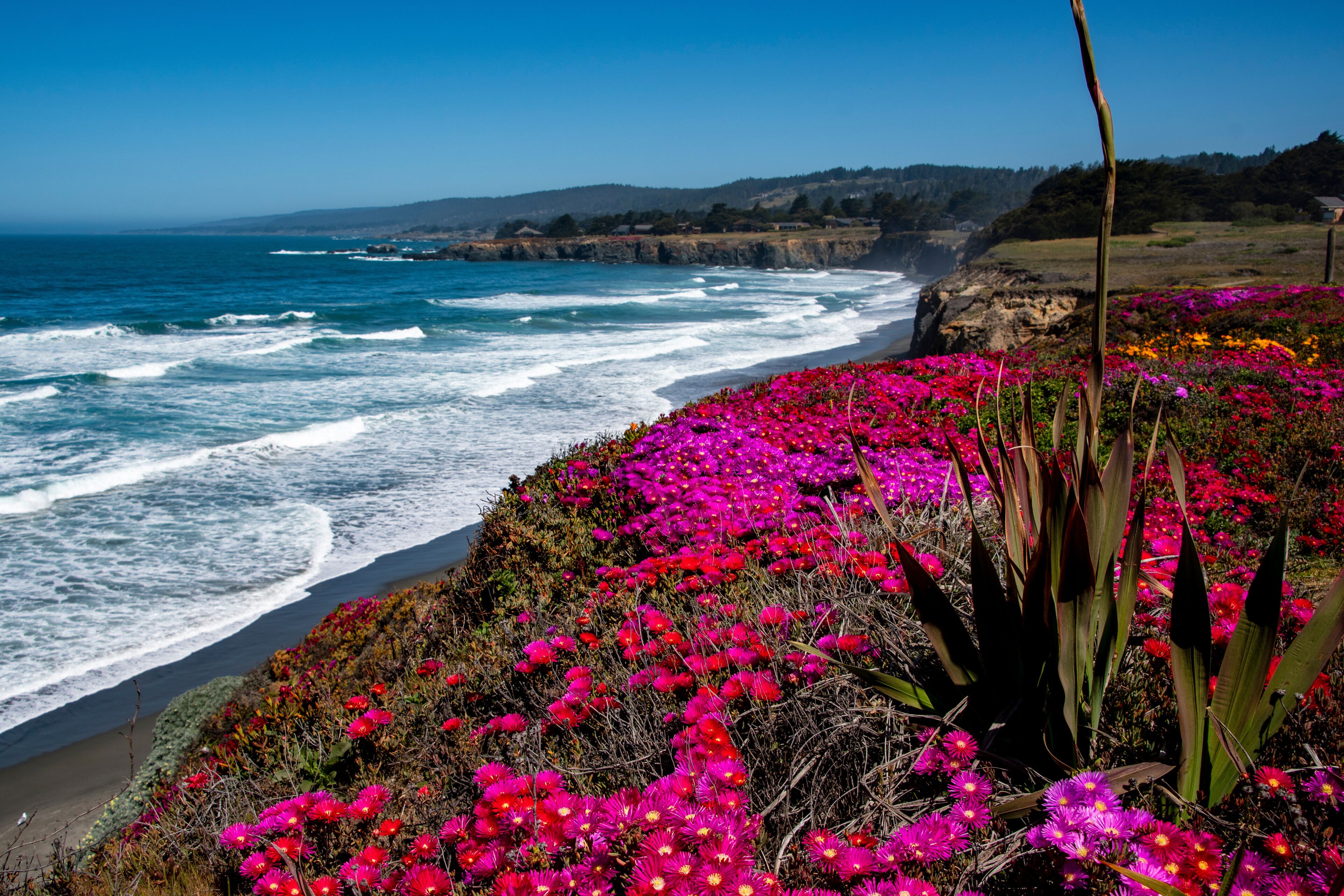 Sea Ranch