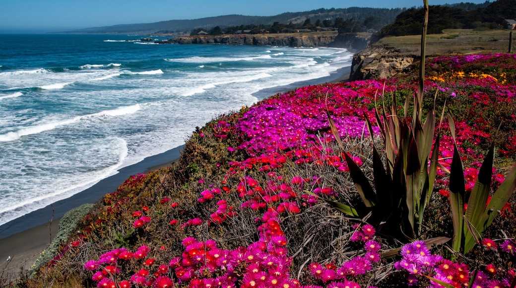 Sea Ranch