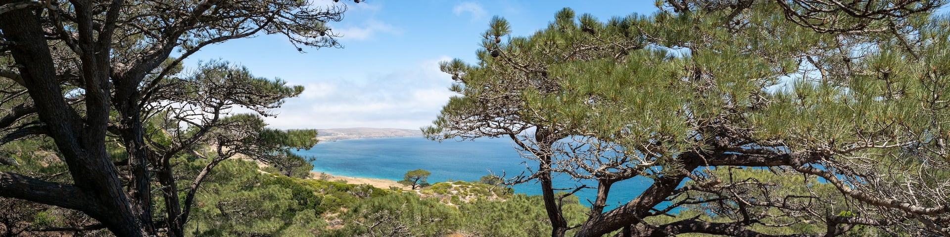 Torry Pines hike, near Ranch at Bechers Bay Pier on a sunny spring day, Santa Rosa Island, Channel Islands National Park, Ventura, California, USA