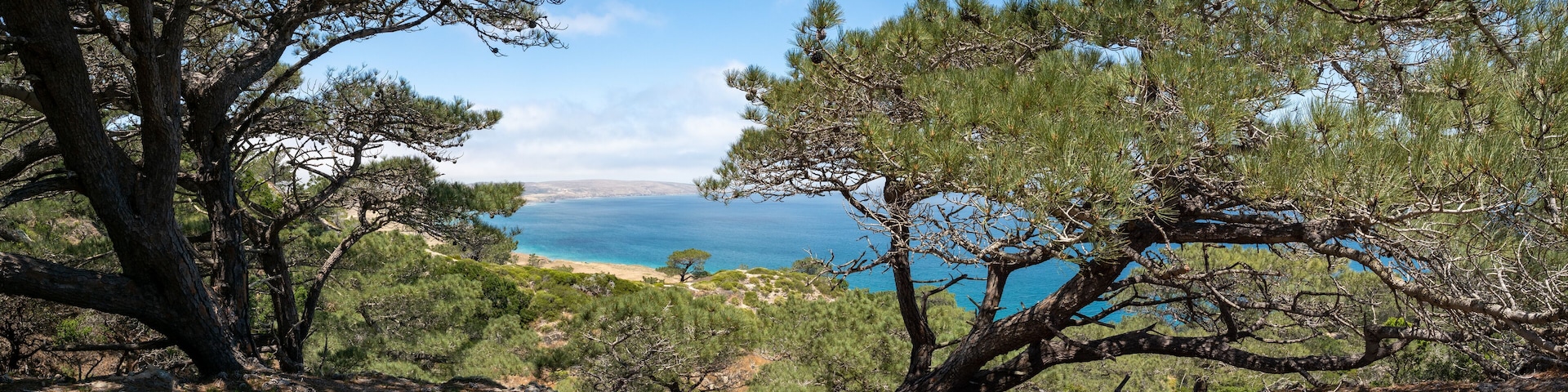 Torry Pines hike, near Ranch at Bechers Bay Pier on a sunny spring day, Santa Rosa Island, Channel Islands National Park, Ventura, California, USA
