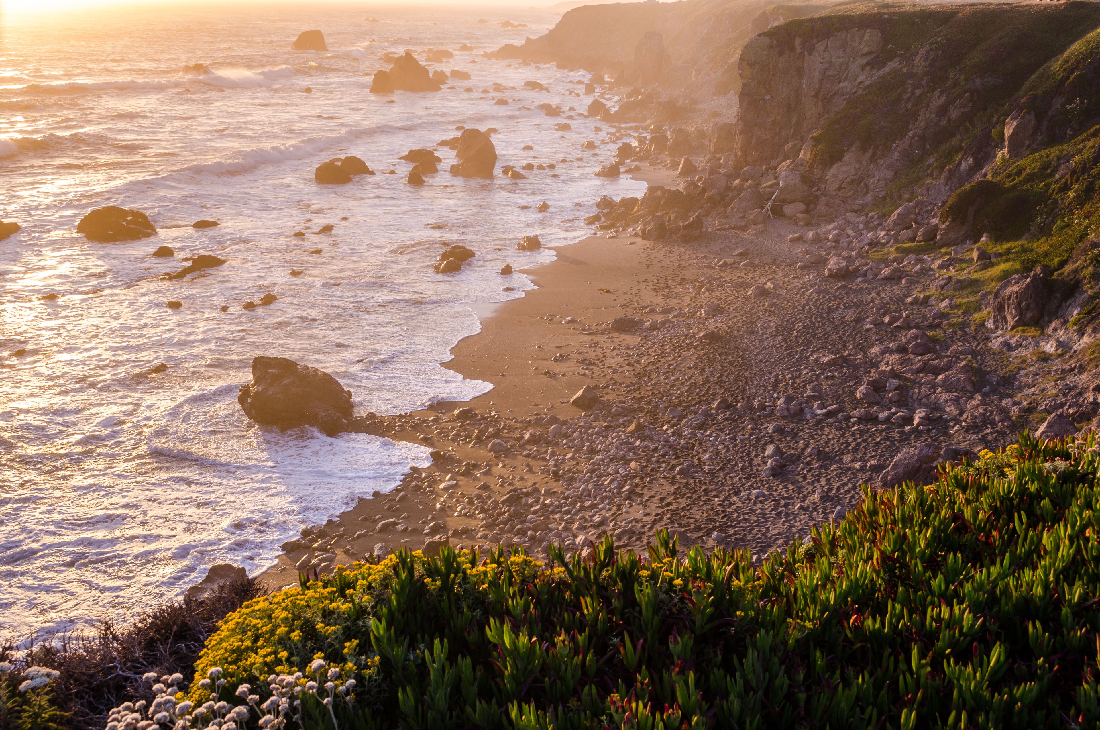 A coastal landscape with rocky shores, waves, and vegetation.