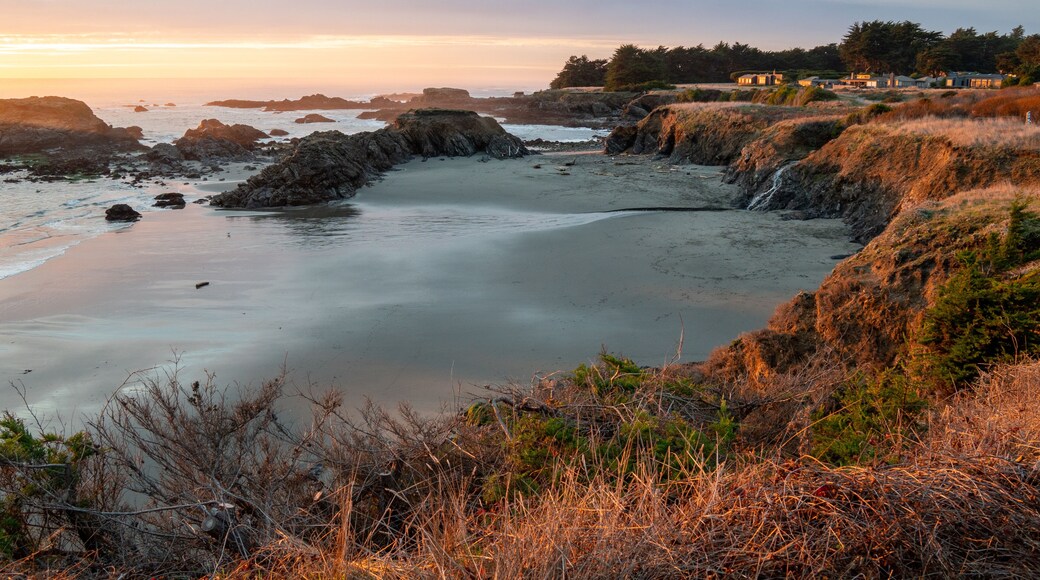 Sea Ranch