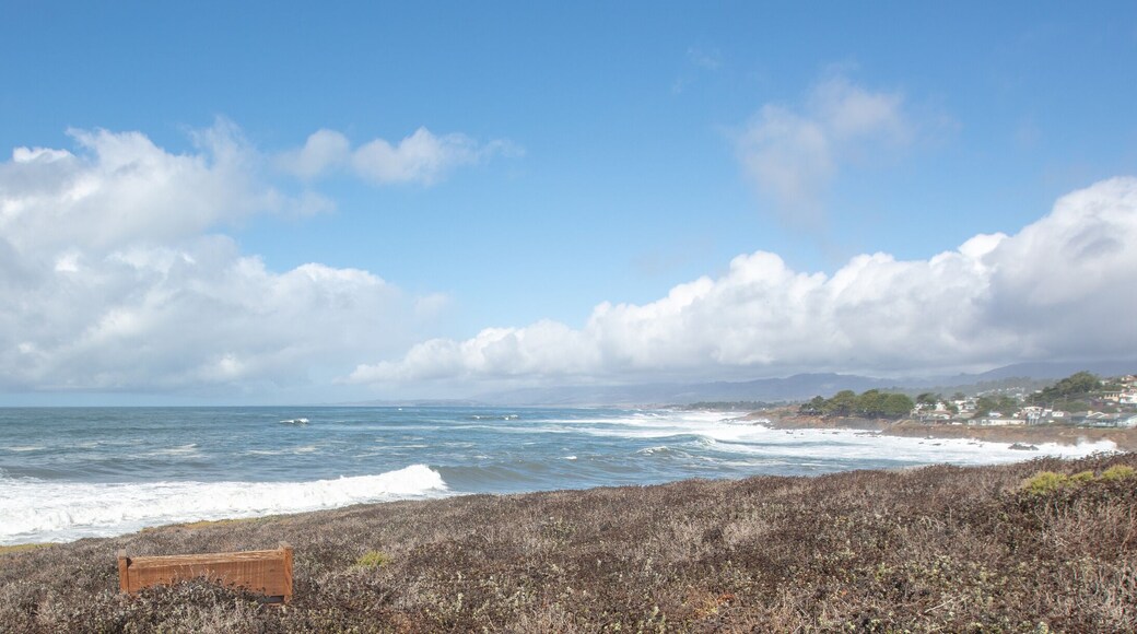 Sea Ranch