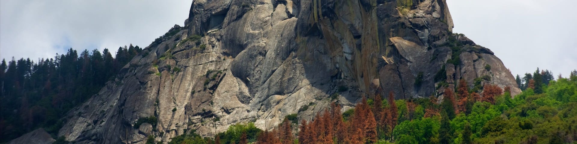 A large rock formation with a steep cliff and dense forest at its base.