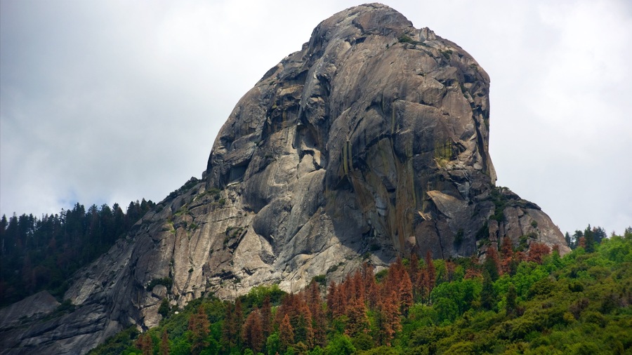 A large rock formation with a steep cliff and dense forest at its base.