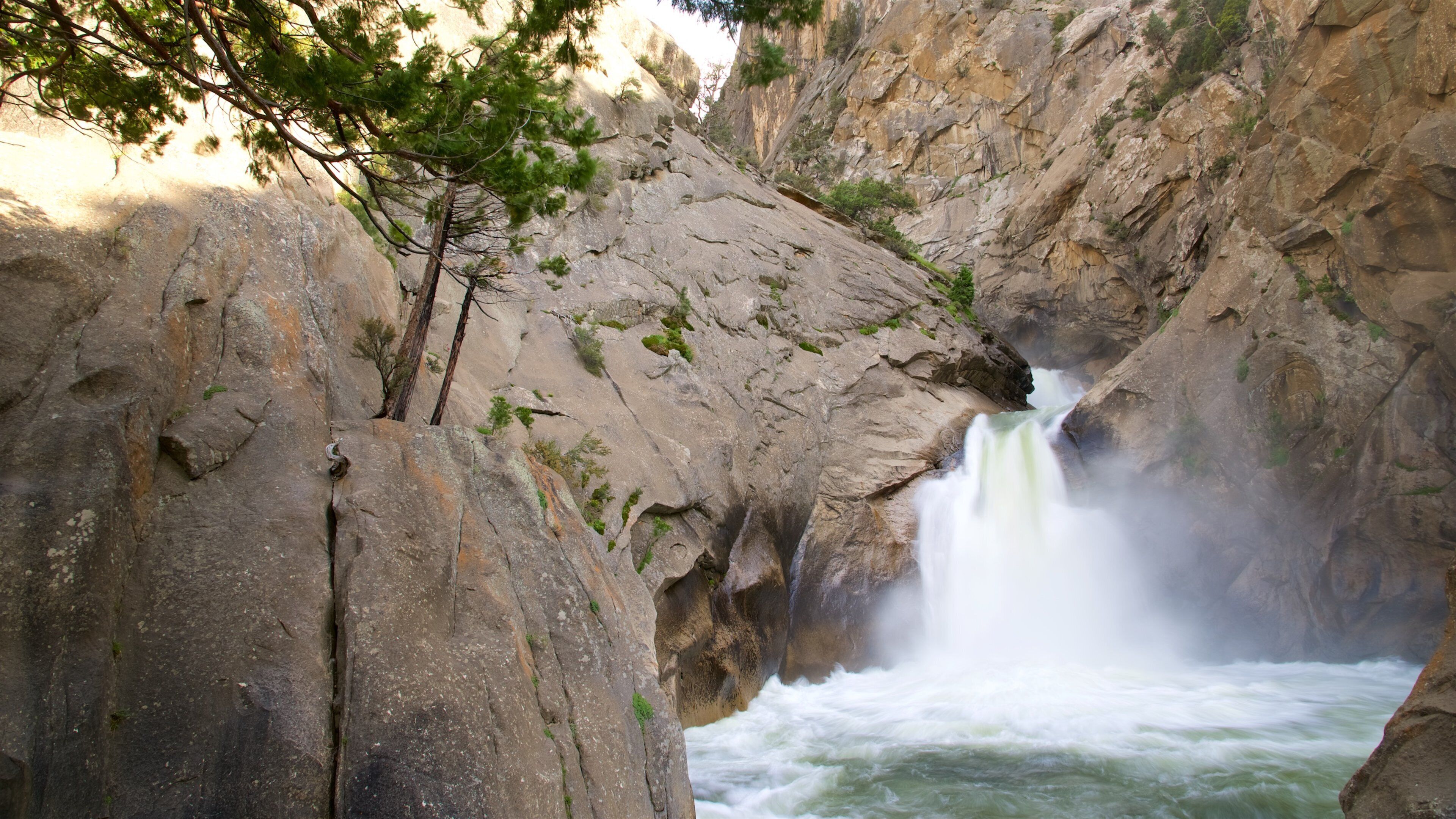 Kings Canyon National Park