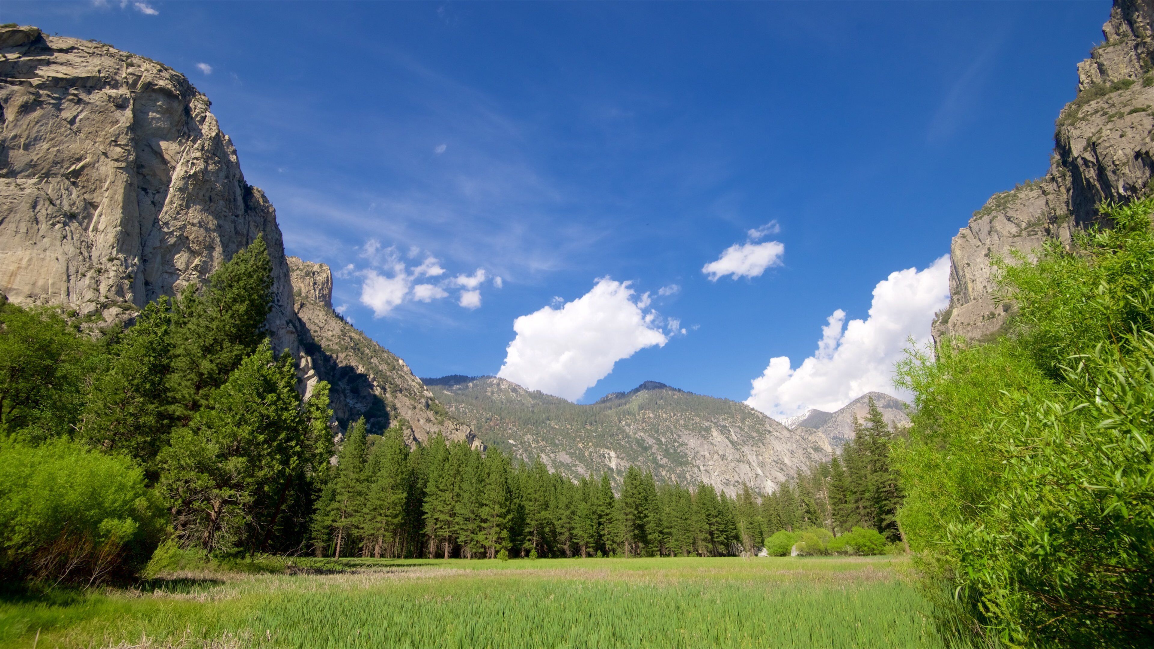 Kings Canyon National Park toont vredige uitzichten