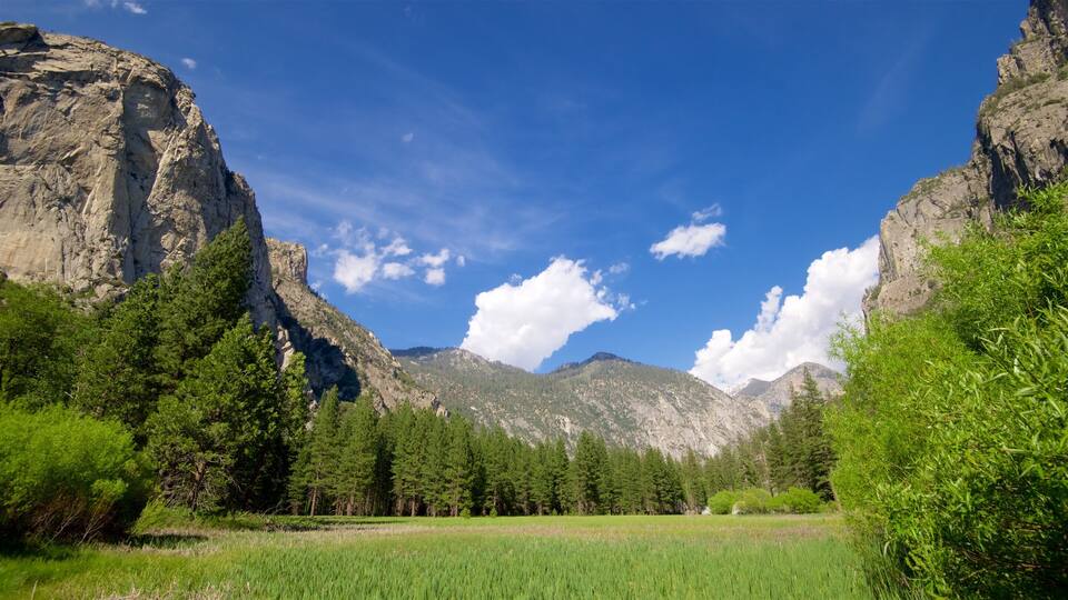 A mountainous landscape with a clear blue sky, green fields, and dense forests.