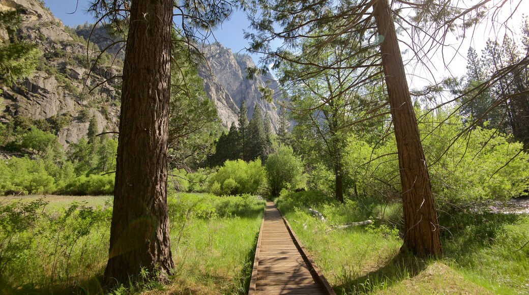 Kings Canyon National Park bevat een brug, vredige uitzichten en bossen