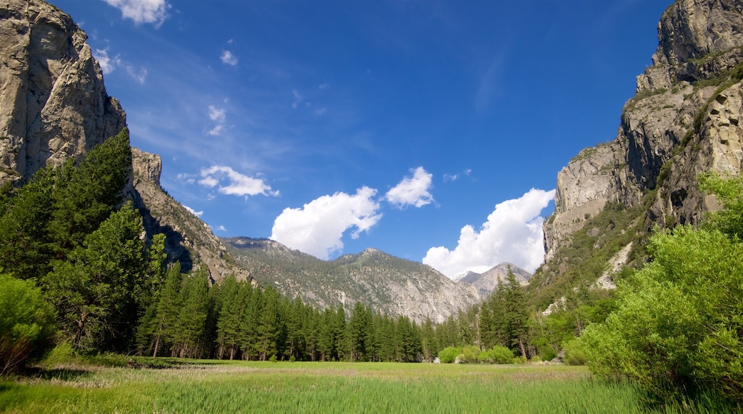 Kings Canyon National Park
