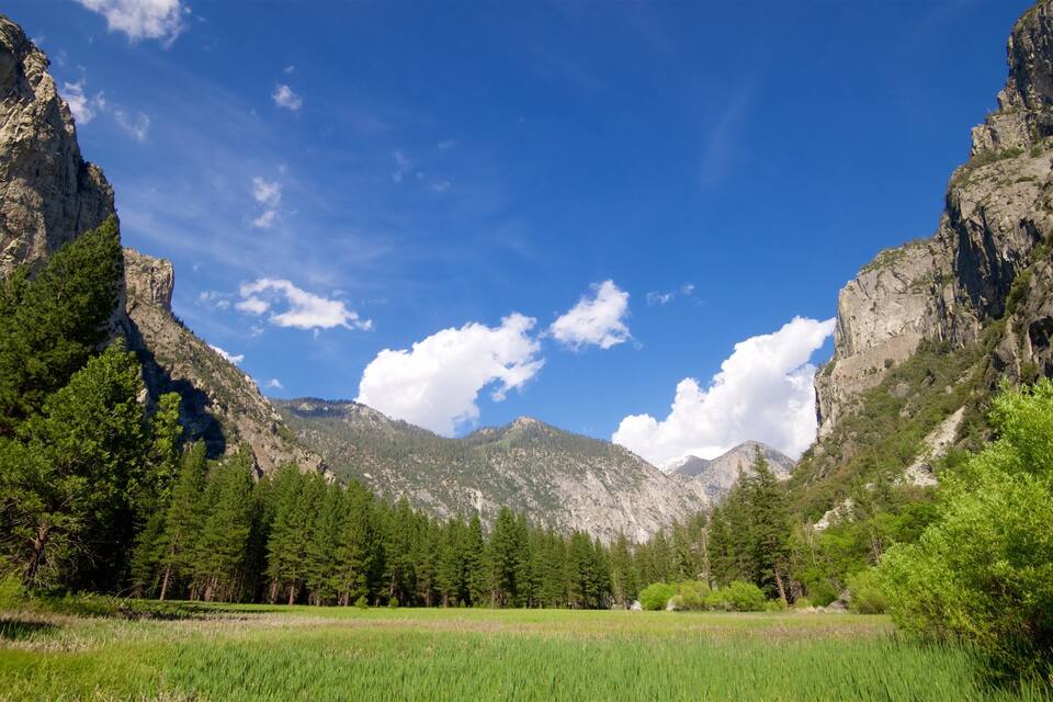 A mountainous landscape with a clear blue sky, green fields, and dense forests.