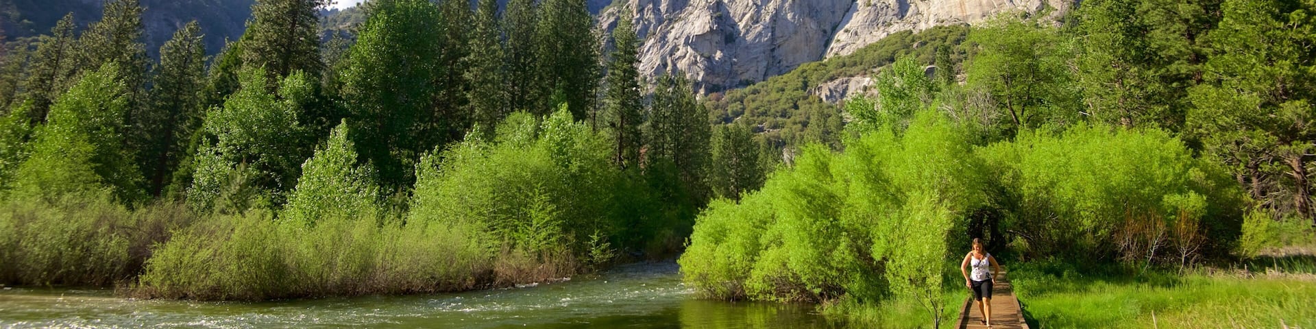 Sequoia and Kings Canyon National Parks mit einem Berge, Sumpfgebiet und BrĂŒcke